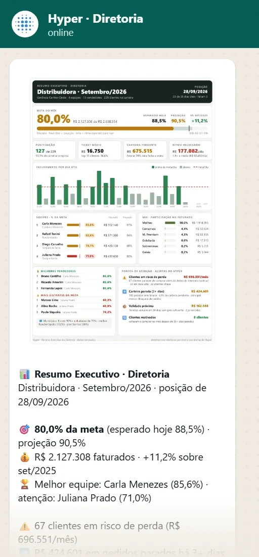 Resumo executivo recebido no WhatsApp